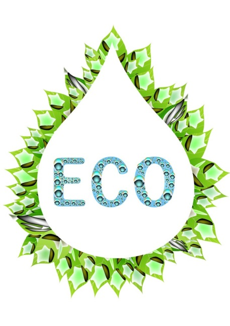 eco icon